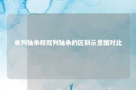 单列轴承和双列轴承的区别示意图对比 